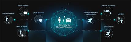 AI vca